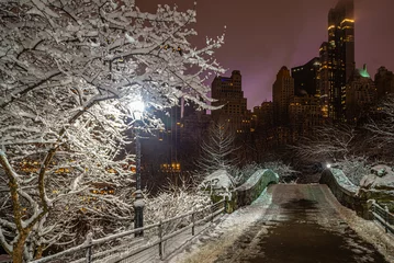 Photo sur Plexiglas Pont de Gapstow Gapstow Bridge dans Central Park, tempête de neige