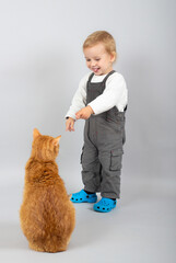 Little boy playing cute ginger color cat