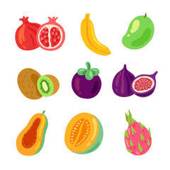 Illustration set of colorful tropical fruits. pomegranate, mangosteen, fig, melon, muskmelon, dragonfruit, papaya, kiwi, banana, mango