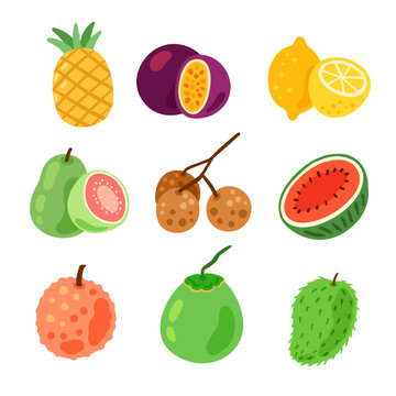 Illustration set of colorful tropical fruits. pineapple, longan, guava, lychee, lemon, soursop, coconut, passion fruit, watermelon