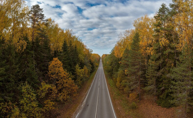 Aerial view from low altitude of straight road going through forest in vivid autumn colors, Russia