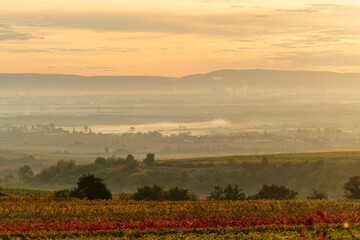 sunrise over the rhine valley in autumn