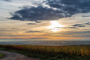 Fototapeta na wymiar sunrise over a fall vineyard