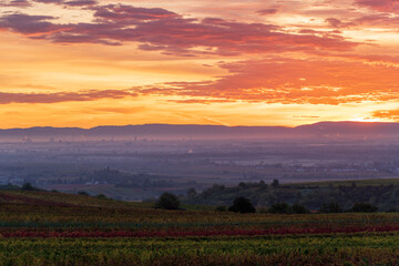 morgenrot über der ebene mit bodennebel