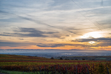 Fototapeta premium sonnenaufgang im herbst über einem weinberg