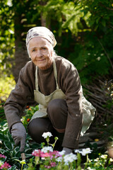 Modern senior woman in apron, pullover and headcloth looking at camera while sitting on squats in front of flowerbed