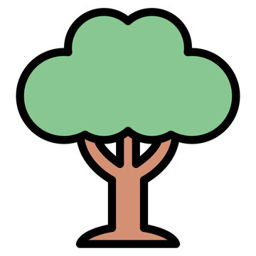 tree plant nature forest