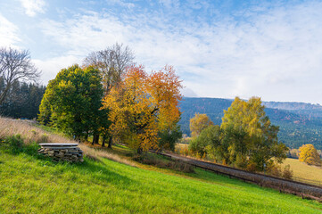 Landscape, Autumn, forester, tree, Šumava, 