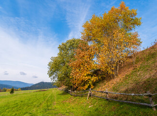 Landscape, Autumn, forester, tree, Šumava, 