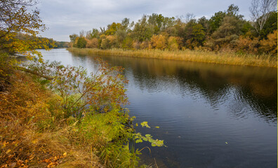 Fototapeta na wymiar calm river with forest on the coast, quiet autumn landscape