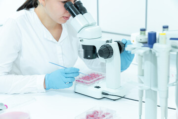 a young woman in a food quality control laboratory examines samples of crops from fruits and vegetables for pathogenic microorganisms