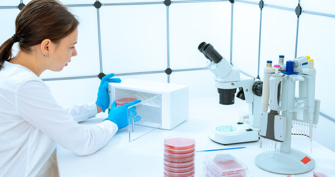 young woman laboratory assistant puts a Petri dish in an incubator for growing crops of microflora for analyzing human secretions