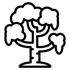 tree plant nature forest