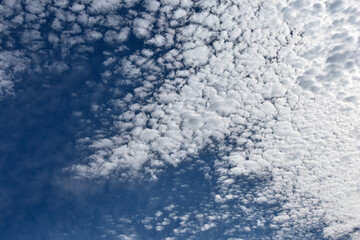 秋晴れ　澄んだ青空とうろこ雲