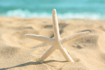 Fototapeta na wymiar Beautiful starfish on sandy beach near sea, closeup
