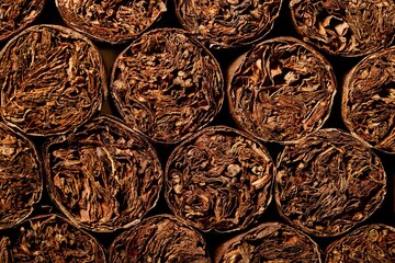 Brown cigars close up view