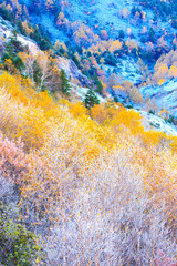 autumn landscape in the mountains