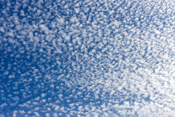 うろこ雲の中を飛ぶ飛行機