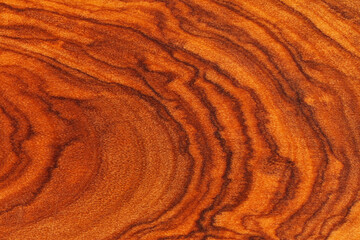 Texture of natural olive-wood