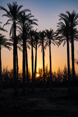 Obraz premium Backgrounds for various artistic contents