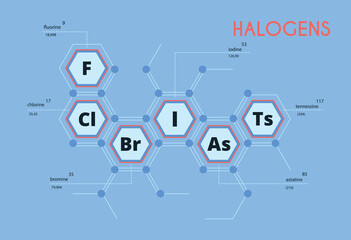 Group 17 (6A) of the Periodic Table of Elements. Fluorine, chlorine, iodine, astatine, tennessine in a hexagon. Honeycombs.  Atomic mass and serial number of the element.Chemistry study poster. Vector