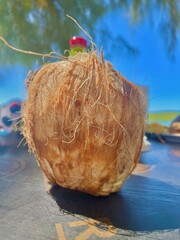 coconut fruit on the beach