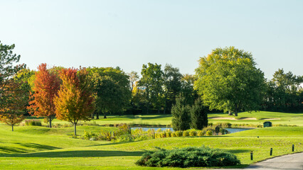 The Fall Pond