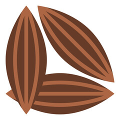 cumin herb and spice