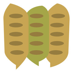 senna pods herb and spice
