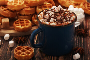 A mug with hot chocolate with marshmallow