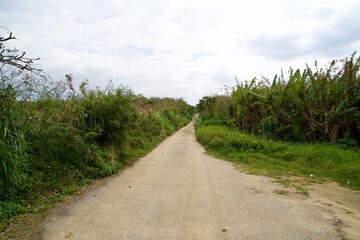 Straight asphalt road and tropical plants on Kurima Island