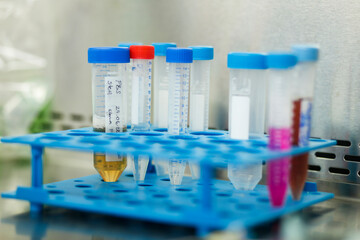 cell culture at the medicine and cell culture laboratory