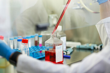 cell culture at the laboratory