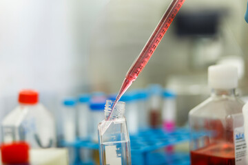 cell culture at the medicine, medical and cell culture laboratory