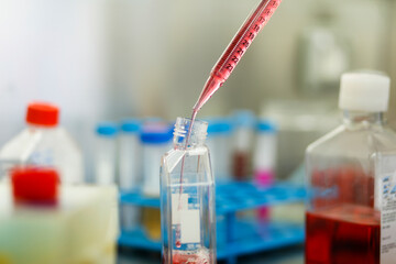 cell culture at the medicine and cell culture laboratory