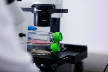 cell culture at the medicine and cell culture laboratory