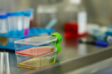 cell culture at the medicine and cell culture laboratory