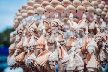 Handmade souvenir decorated with different sea shells