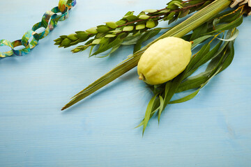 Jewish festival of Sukkot. Traditional symbols Etrog and lulav - citrus and palm.