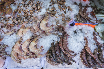Fresh shrimps on crushed ice for sale in market