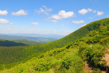 View from Mount Hoverla to the slopes of the Carpathian Mountains. Ukraine.