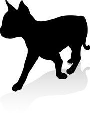 Cat Pet Animal Silhouette