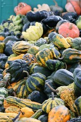 variety of Pumpkins