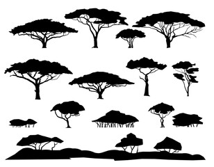 Set of plants. African savannah landscape. Silhouette picture. Africa acacia tree. Isolated on white background. Vector.