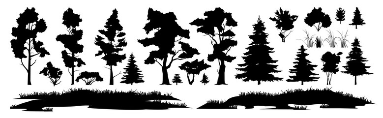 Set of trees and plants. Coniferous forest with firs and pines. For Landscape with trees and grass. Silhouette picture. Isolated on white background. Vector.