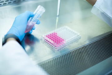 cell culture at the laboratory