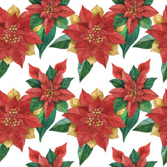 Christmas floral frame with winter plant poinsettia. Watercolor border