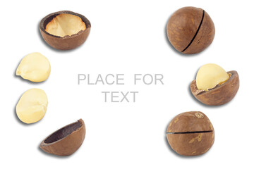 Macadamia nuts creative layout. food concept. background for design and packaging. flat lay