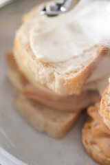 Provolone and Apple Grilled Cheese Sandwich