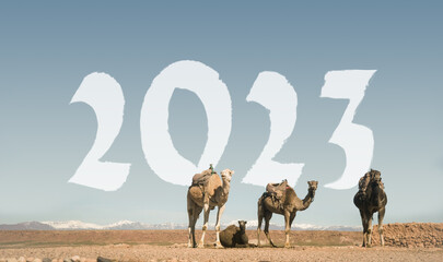 2023 in Africa. A new year resolution consept. Travel for an outdoor adventure.